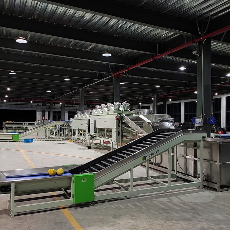 images/1666596170738grape sorting machine.jpg